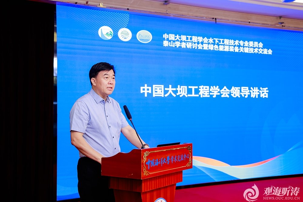 中国大坝工程学会理事长