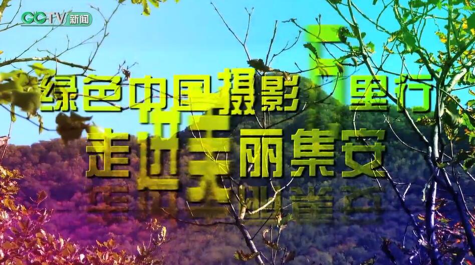中国人民大学重阳金融研究院(人大重阳